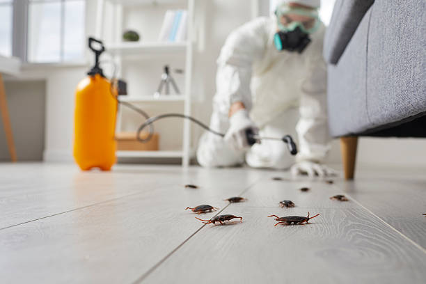 Commercial Kitchen Cockroach Control in Brookville